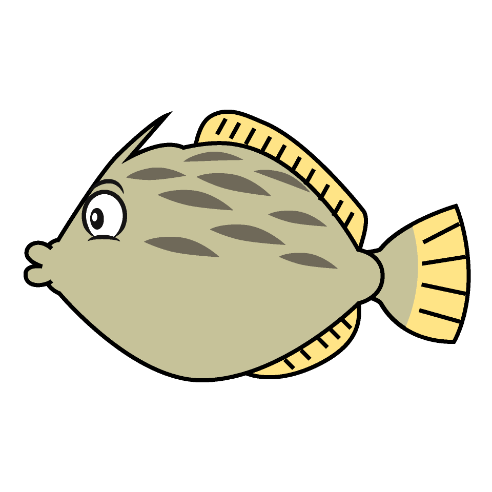 Filefish