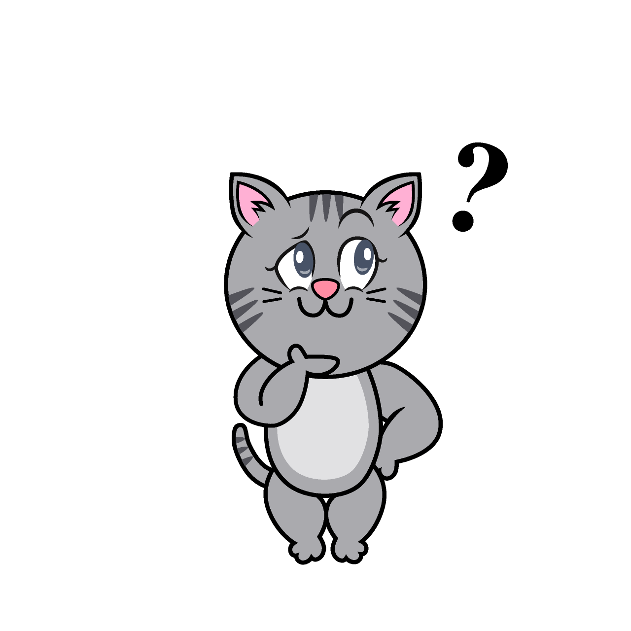 Tabby Gris Pensativa