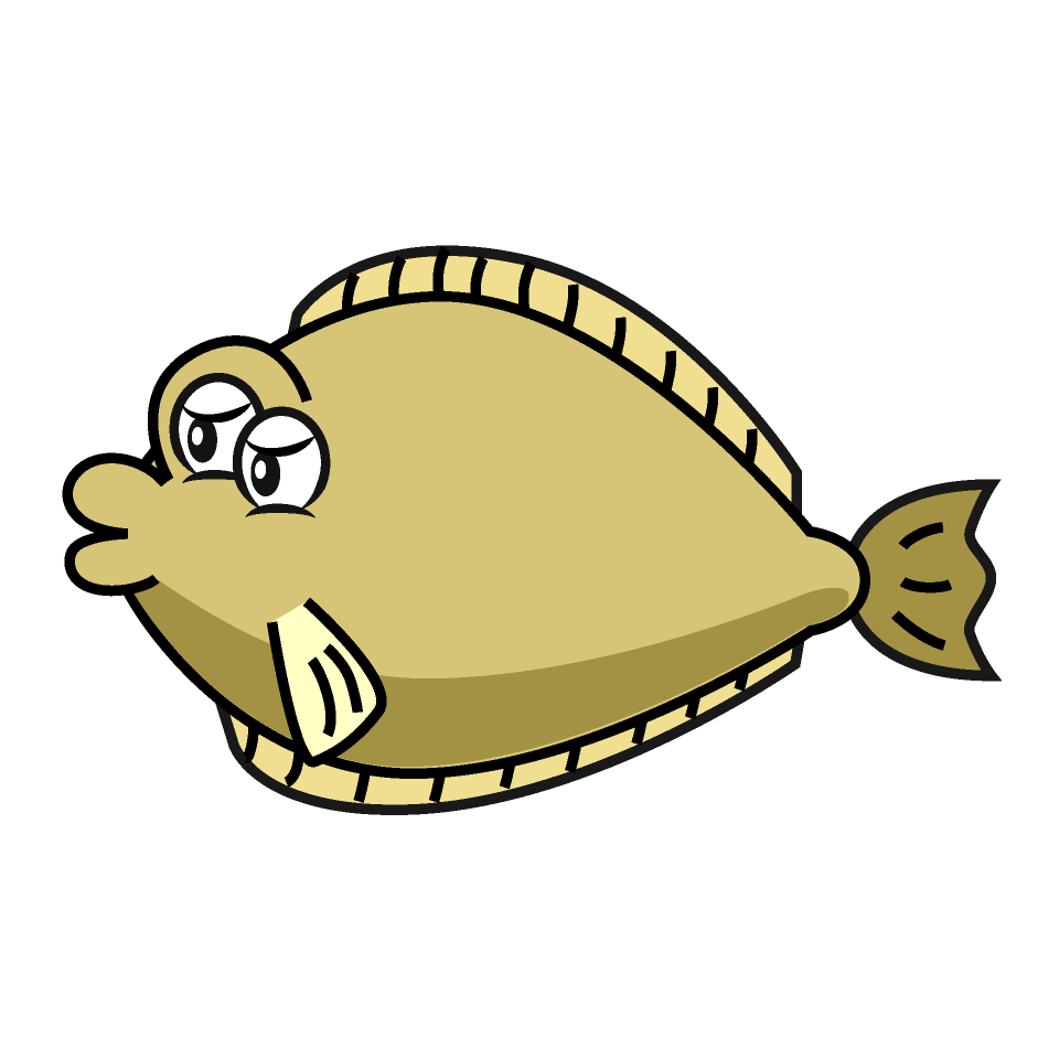 Flounder