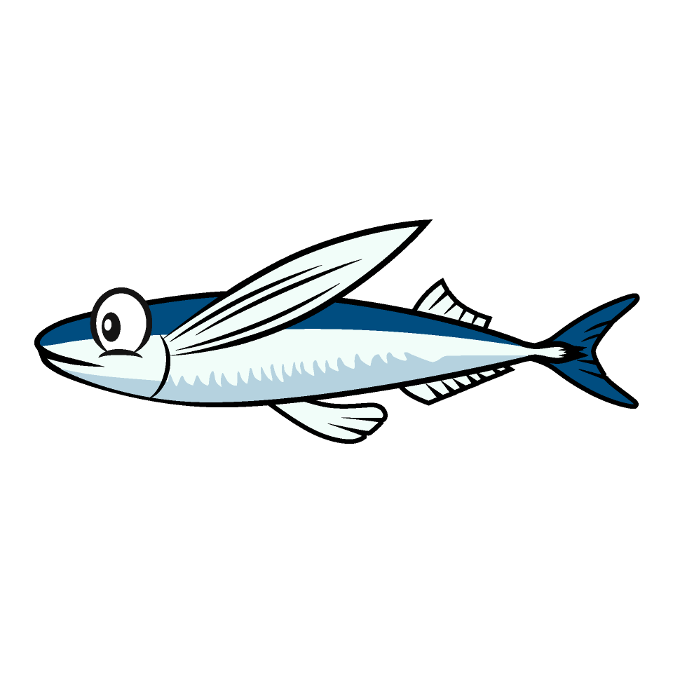 Flying Fish