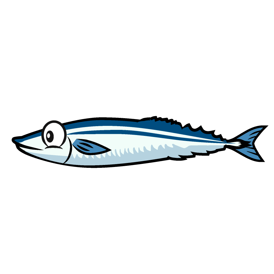 Saury