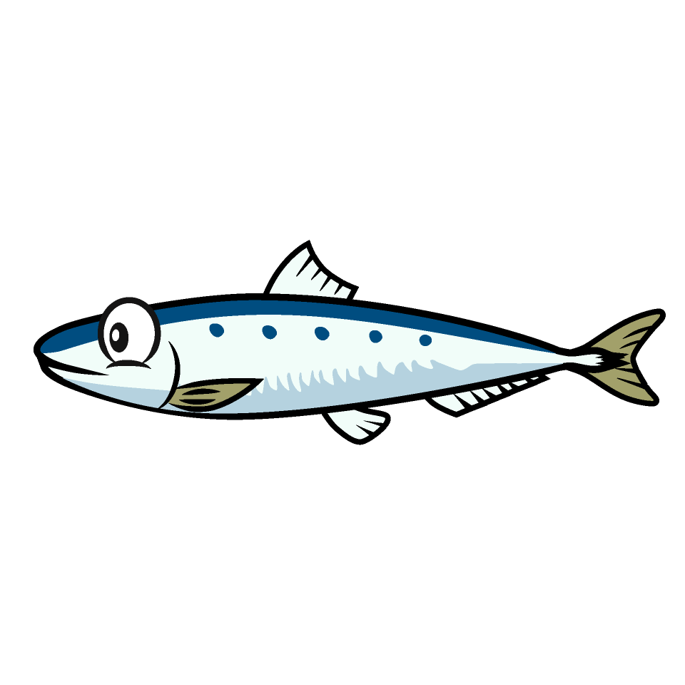 Sardine