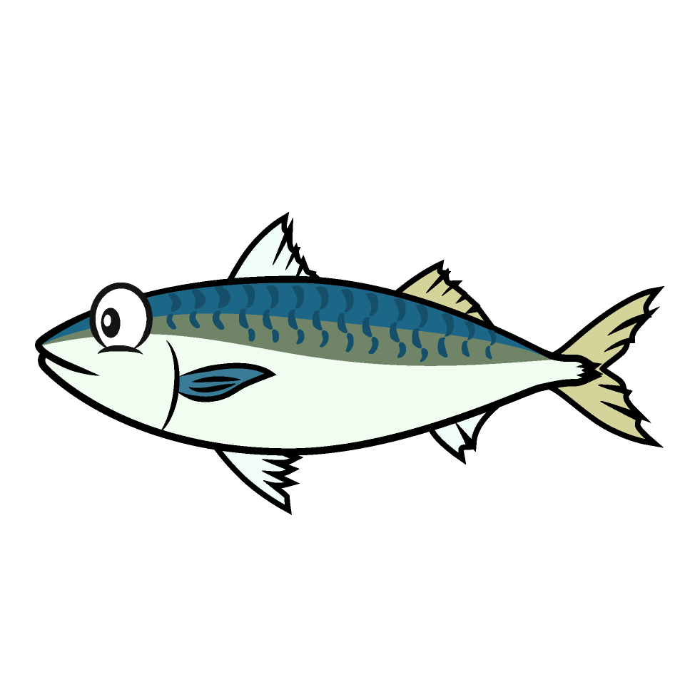 Mackerel