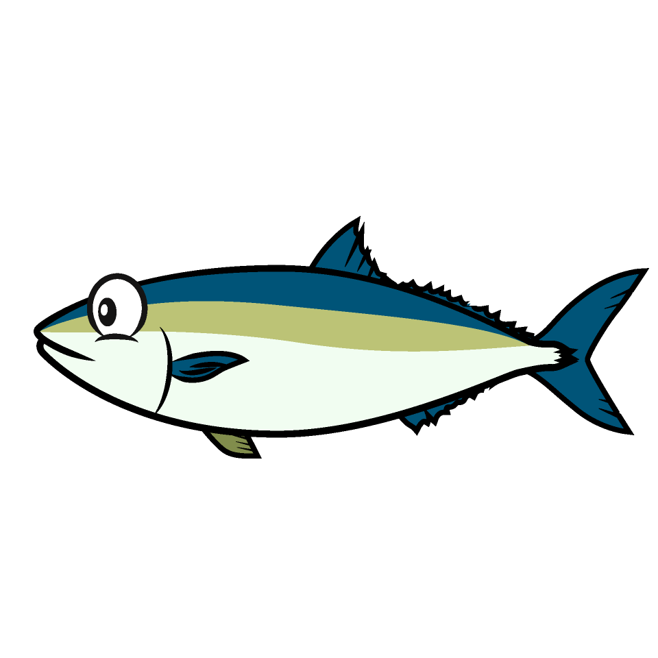 Yellowtail