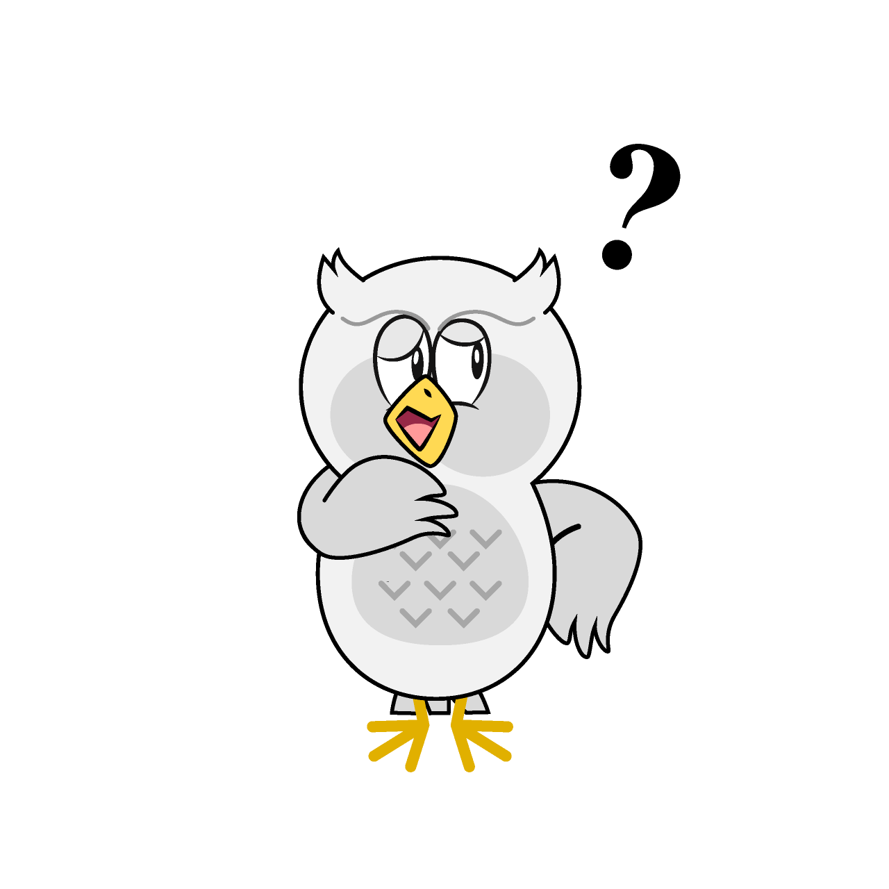 Thinking White Owl