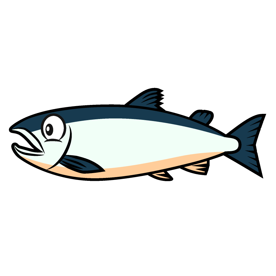Salmon
