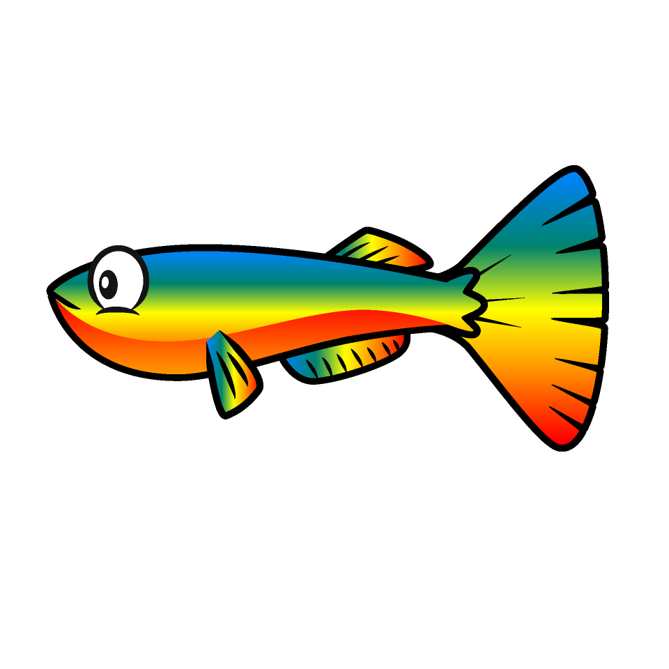 Guppy Tropical Fish