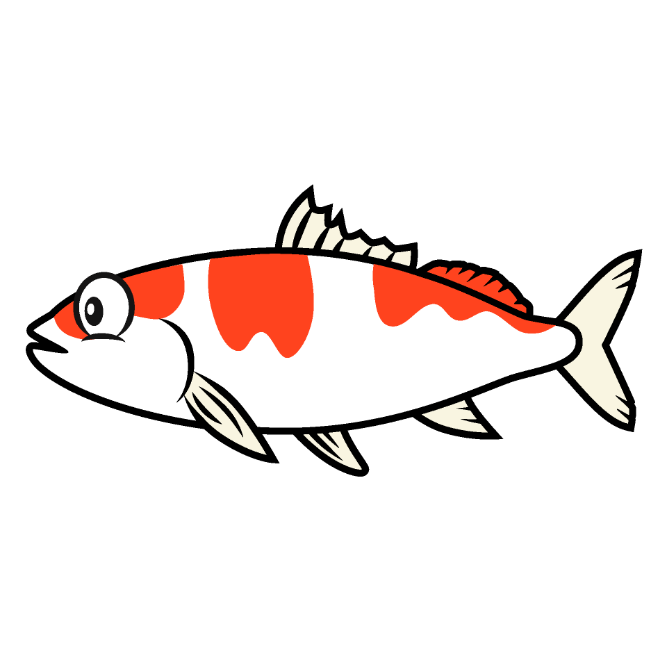 Carp