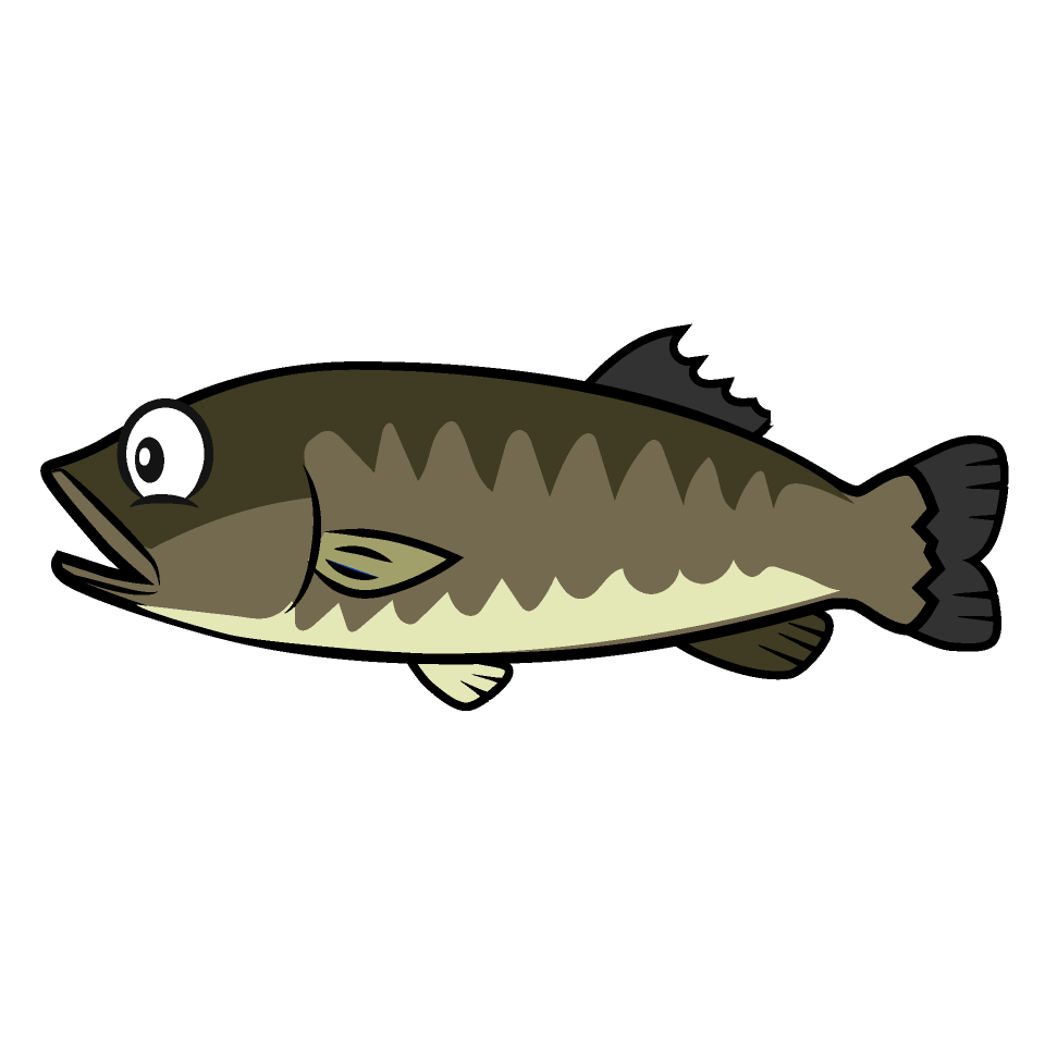Black Bass