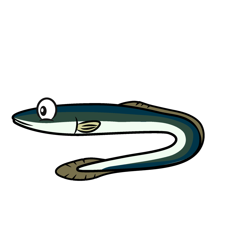 Eel