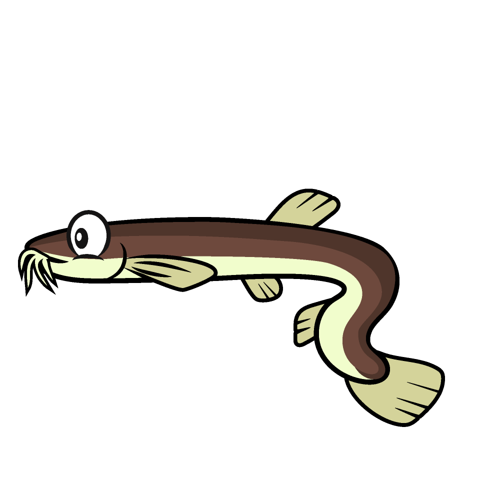Loach
