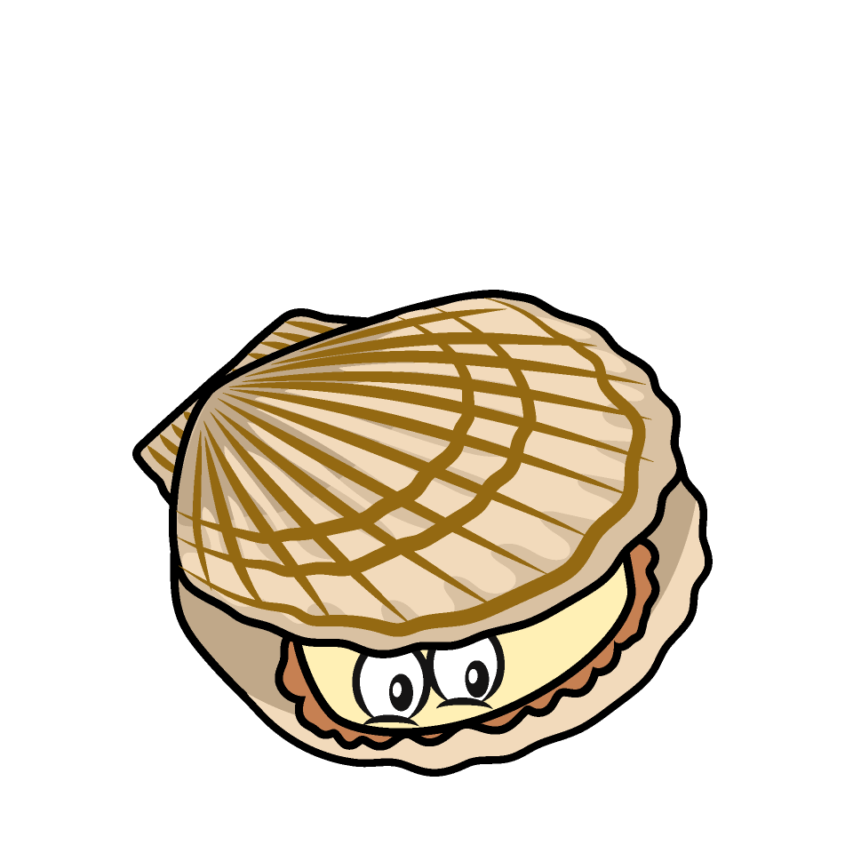 Scallops