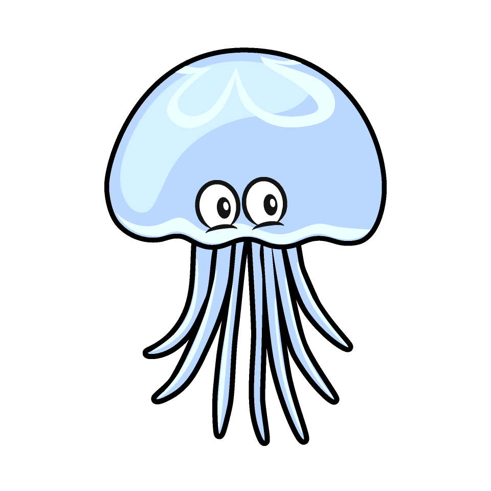 Jellyfish
