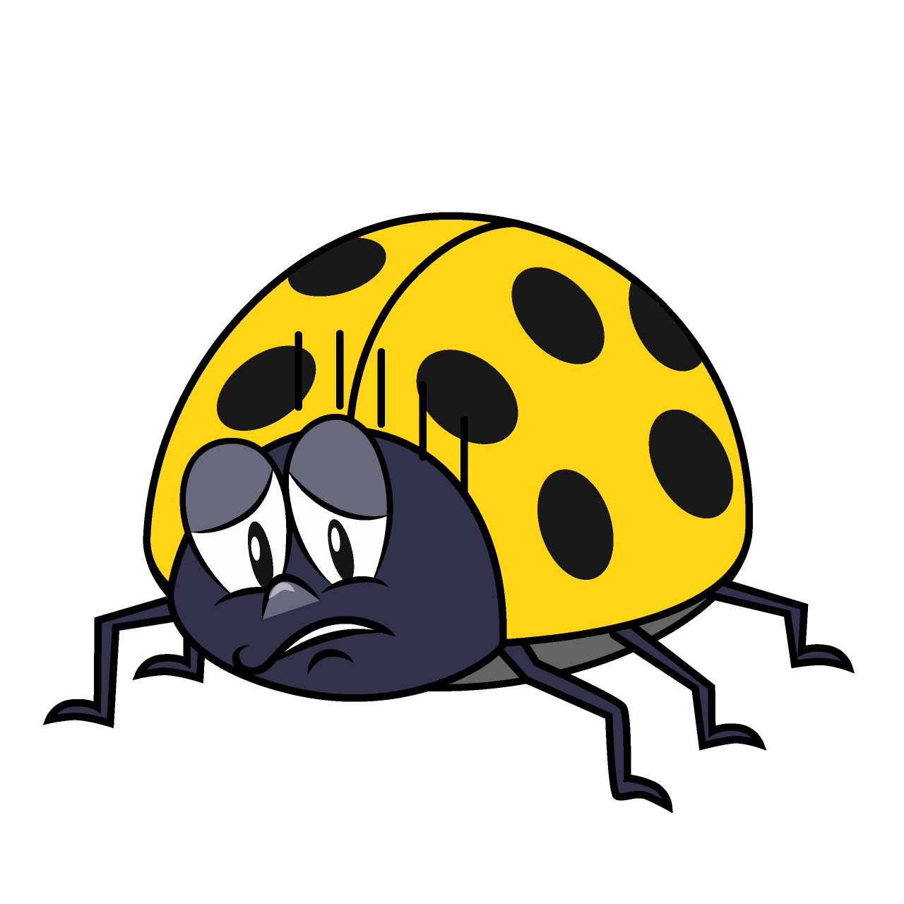 Depressed Yellow Ladybug
