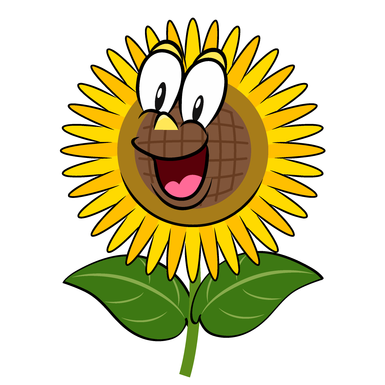 Surprising Sunflower