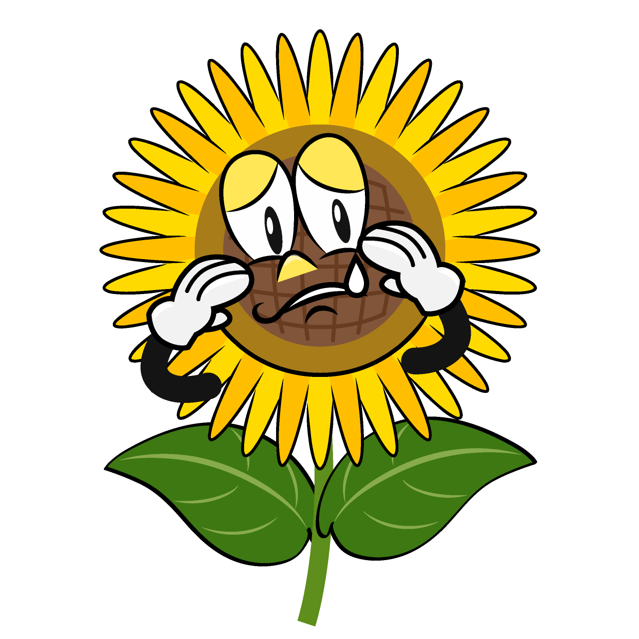 Sobbing Sunflower