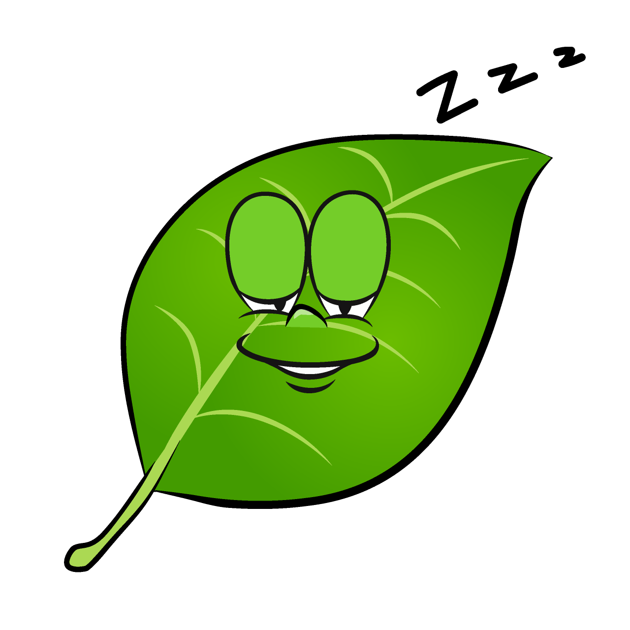 Hoja Dormido