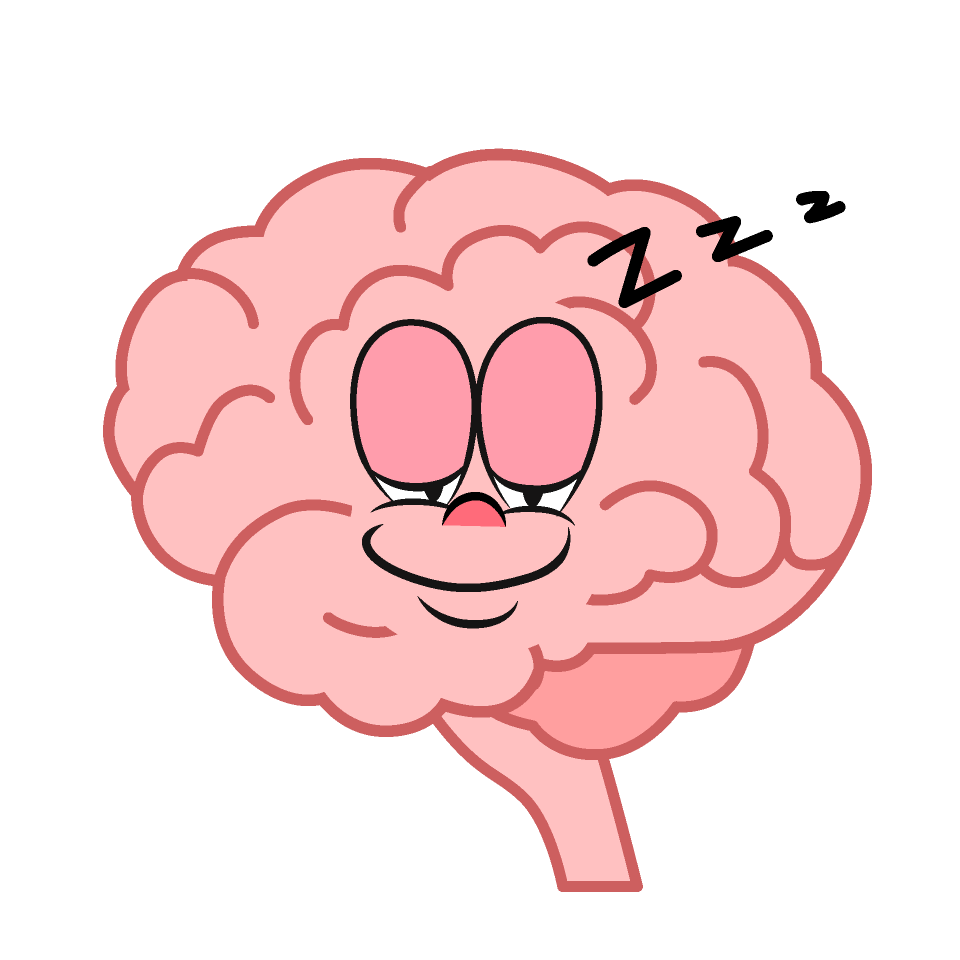 Sleeping Brain