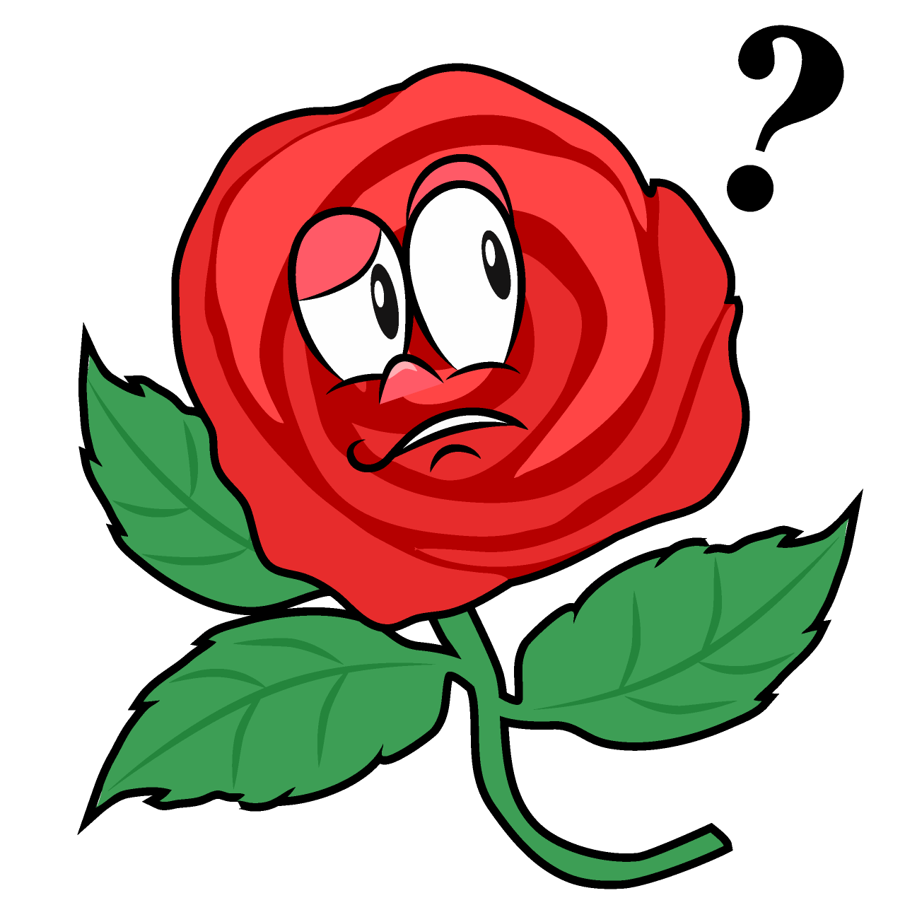 Rosa Pensando