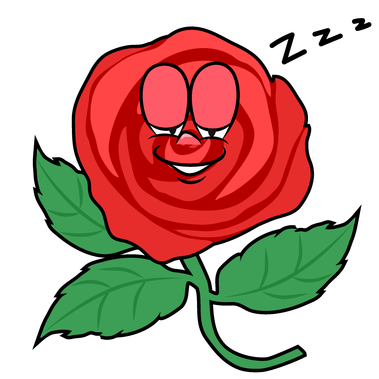 Rosa Dormido