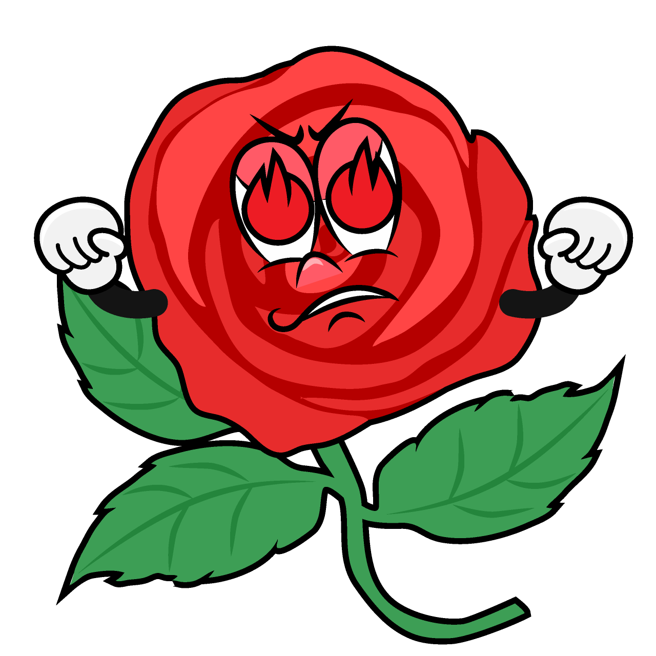 Rosa Entusiasmo