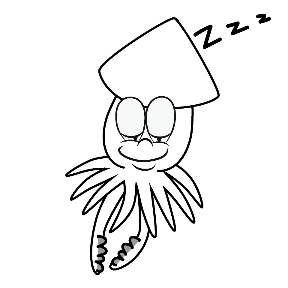 Sleeping Squid