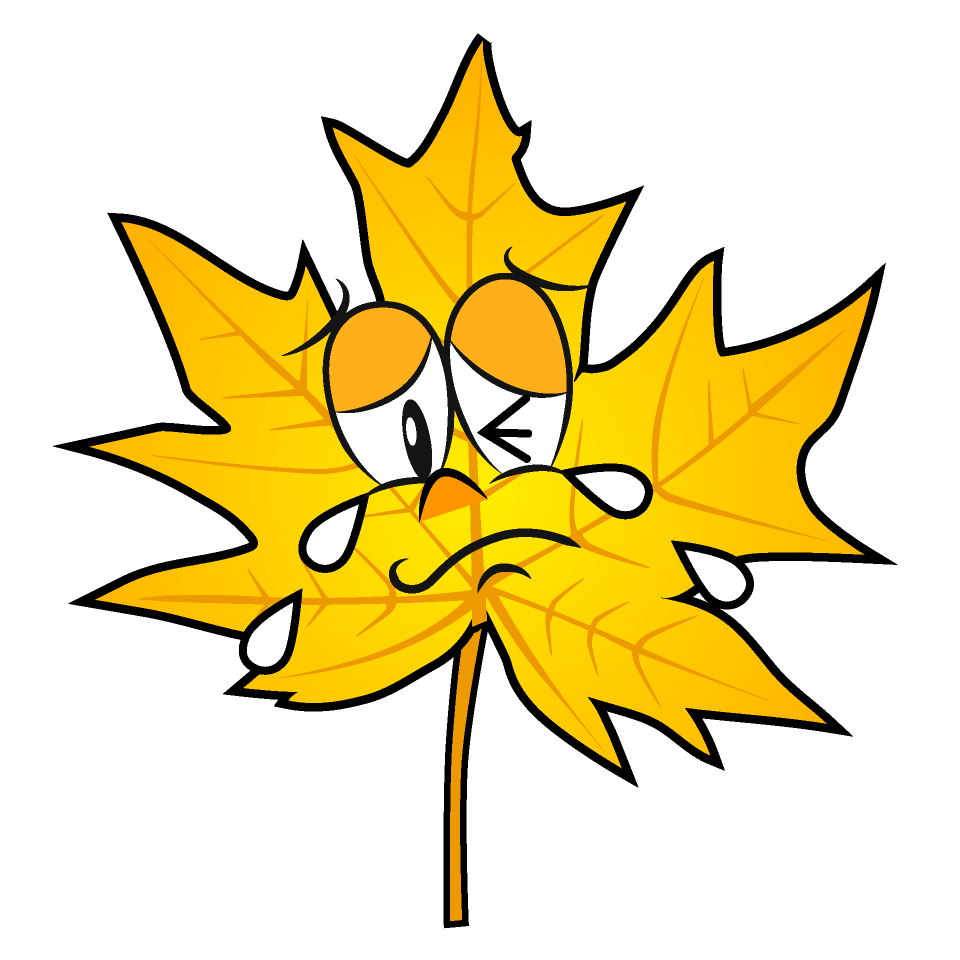 Hoja de Otoño Amarilla Llorando