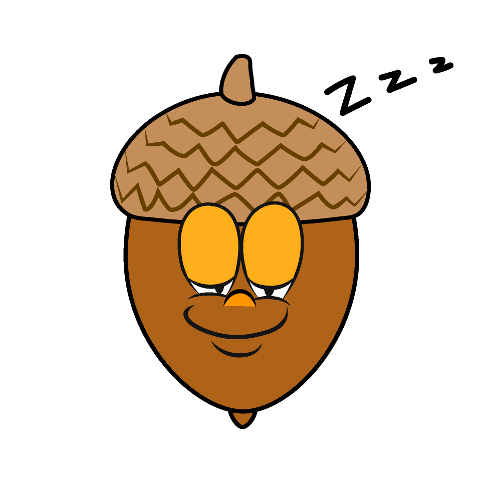 Bellota Dormido