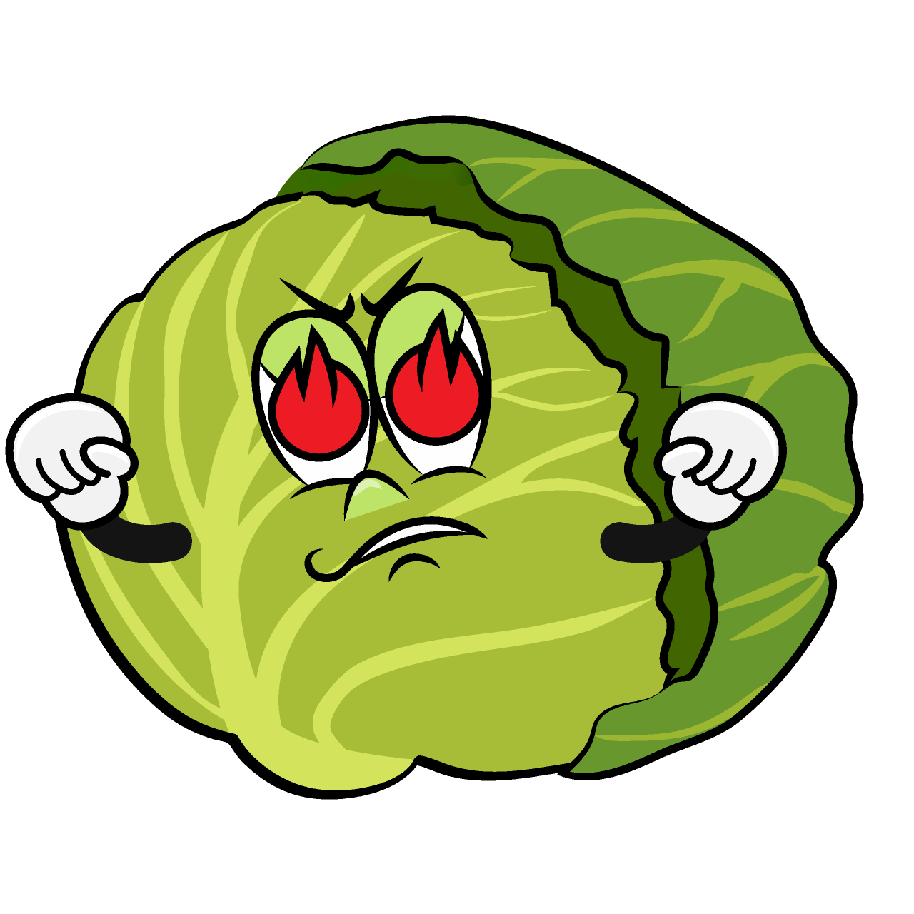 Enthusiasm Cabbage