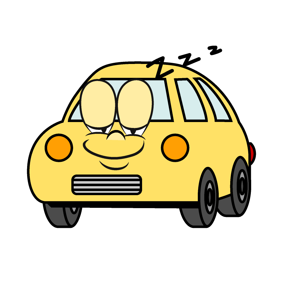 Sleeping Small Car
