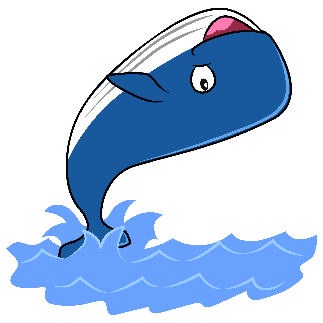 Cool Whale