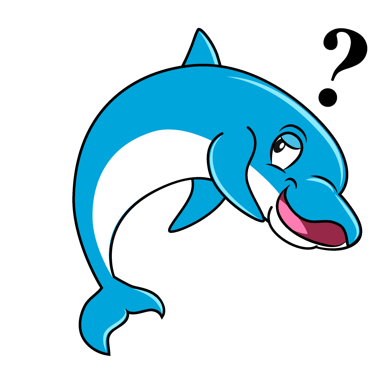 Thinking Dolphin