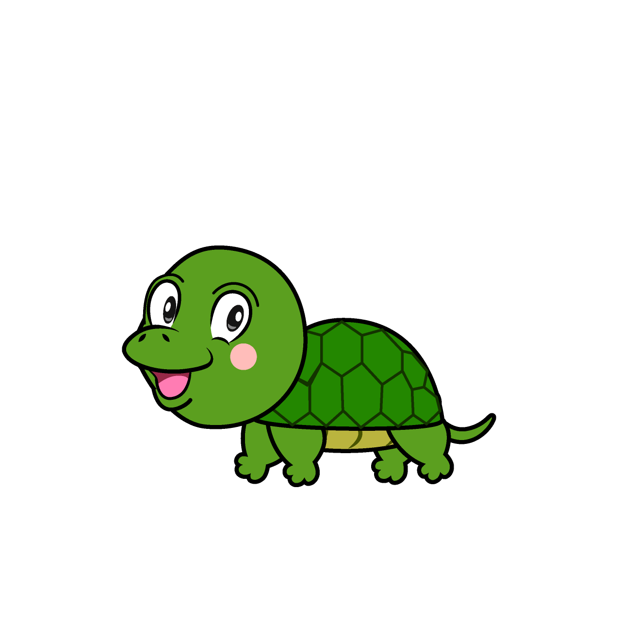 Turtle