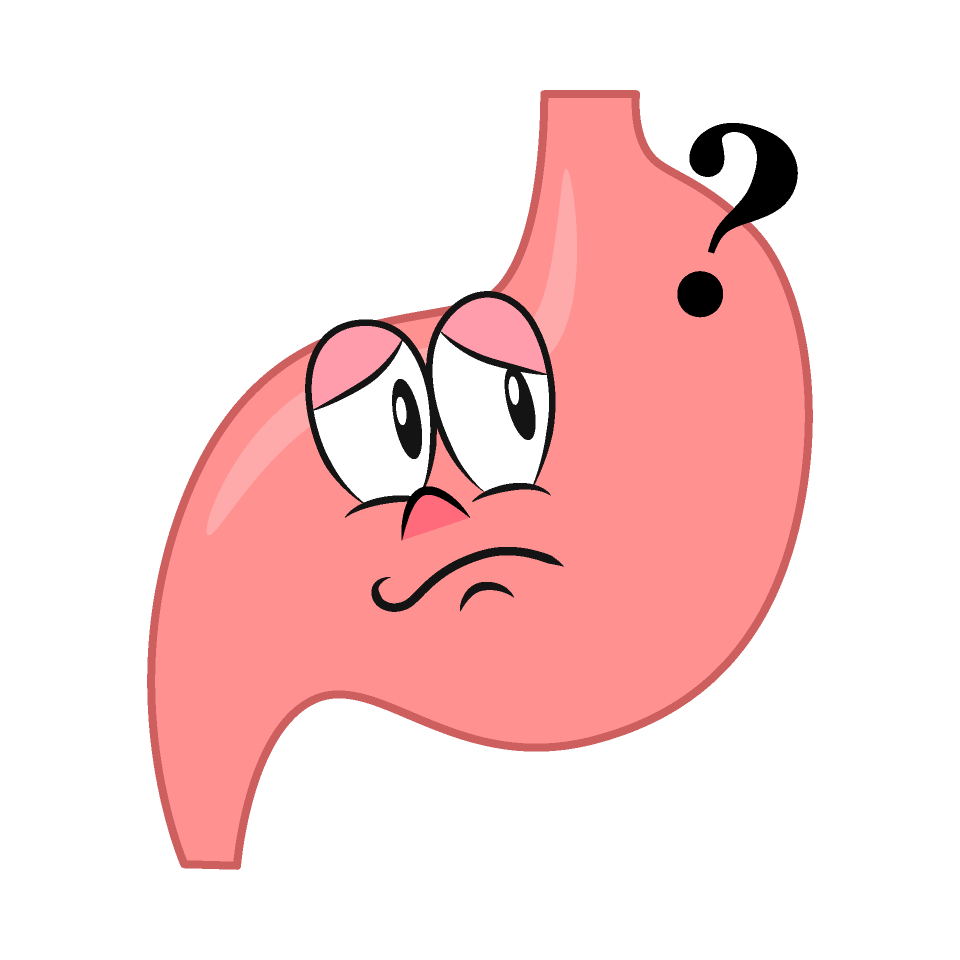 Thinking Stomach