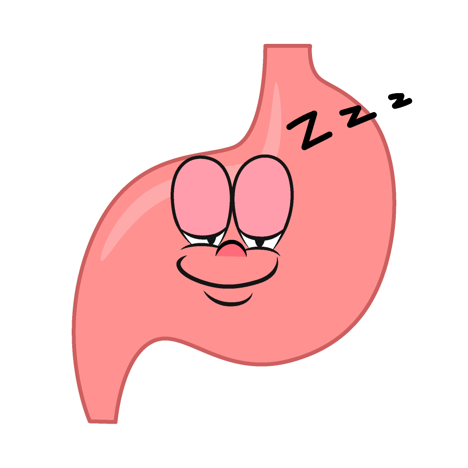 Sleeping Stomach