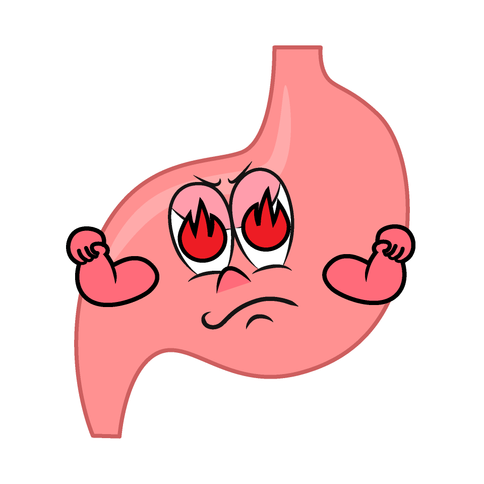 Enthusiasm Stomach