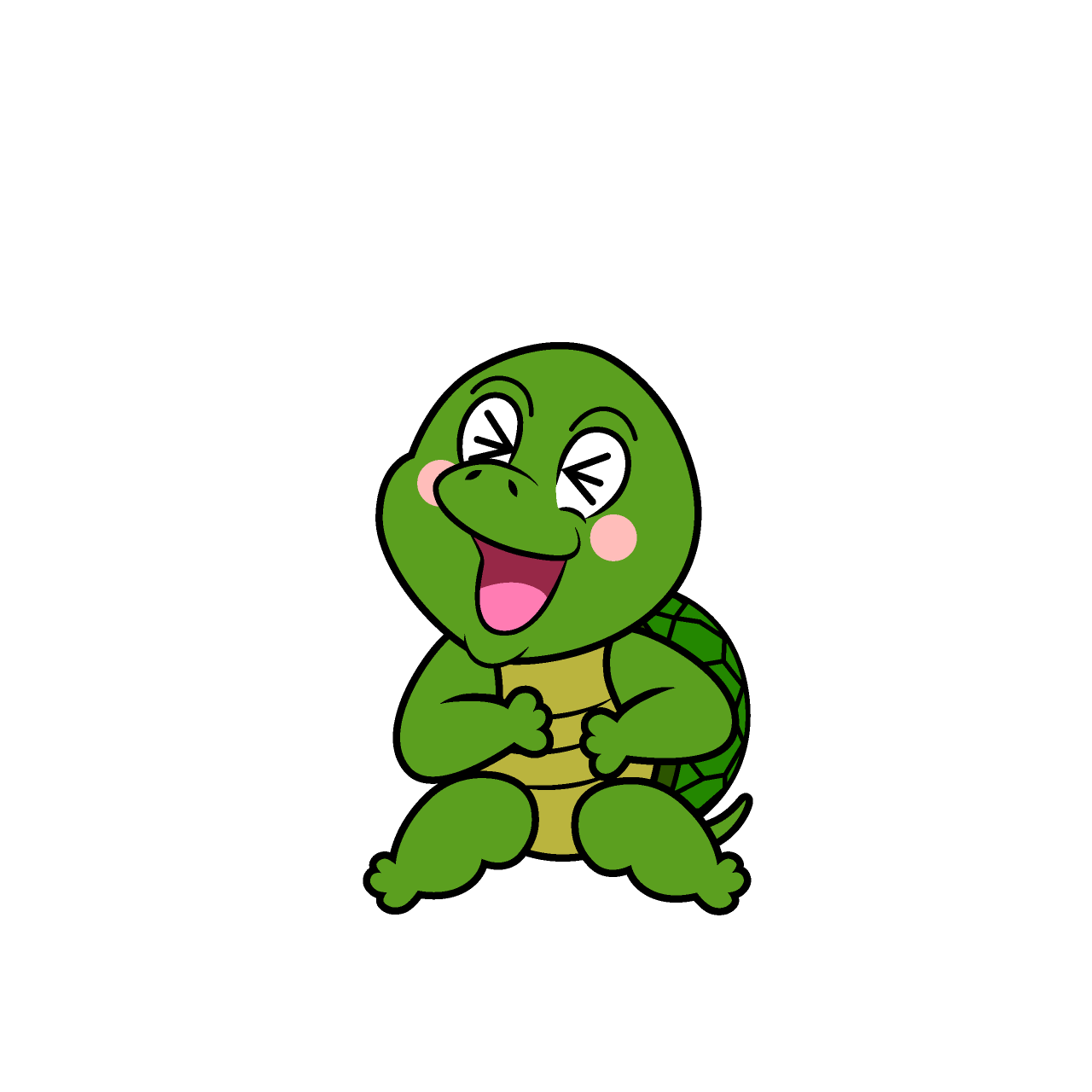 Laughing Turtle