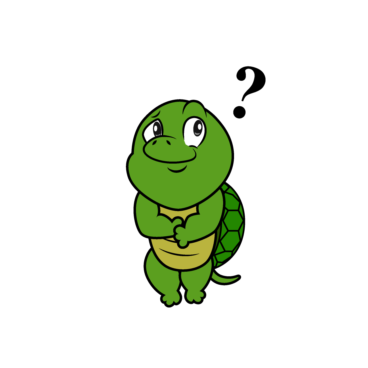 Thinking Turtle