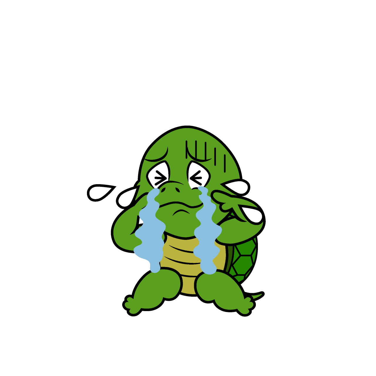 Crying Turtle