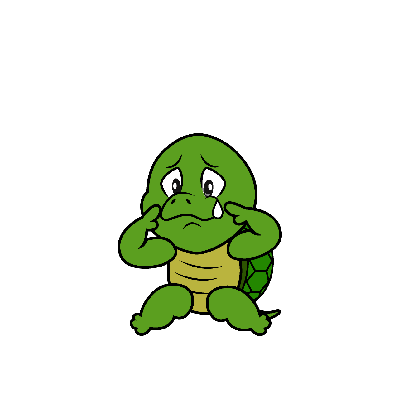 Sad Turtle