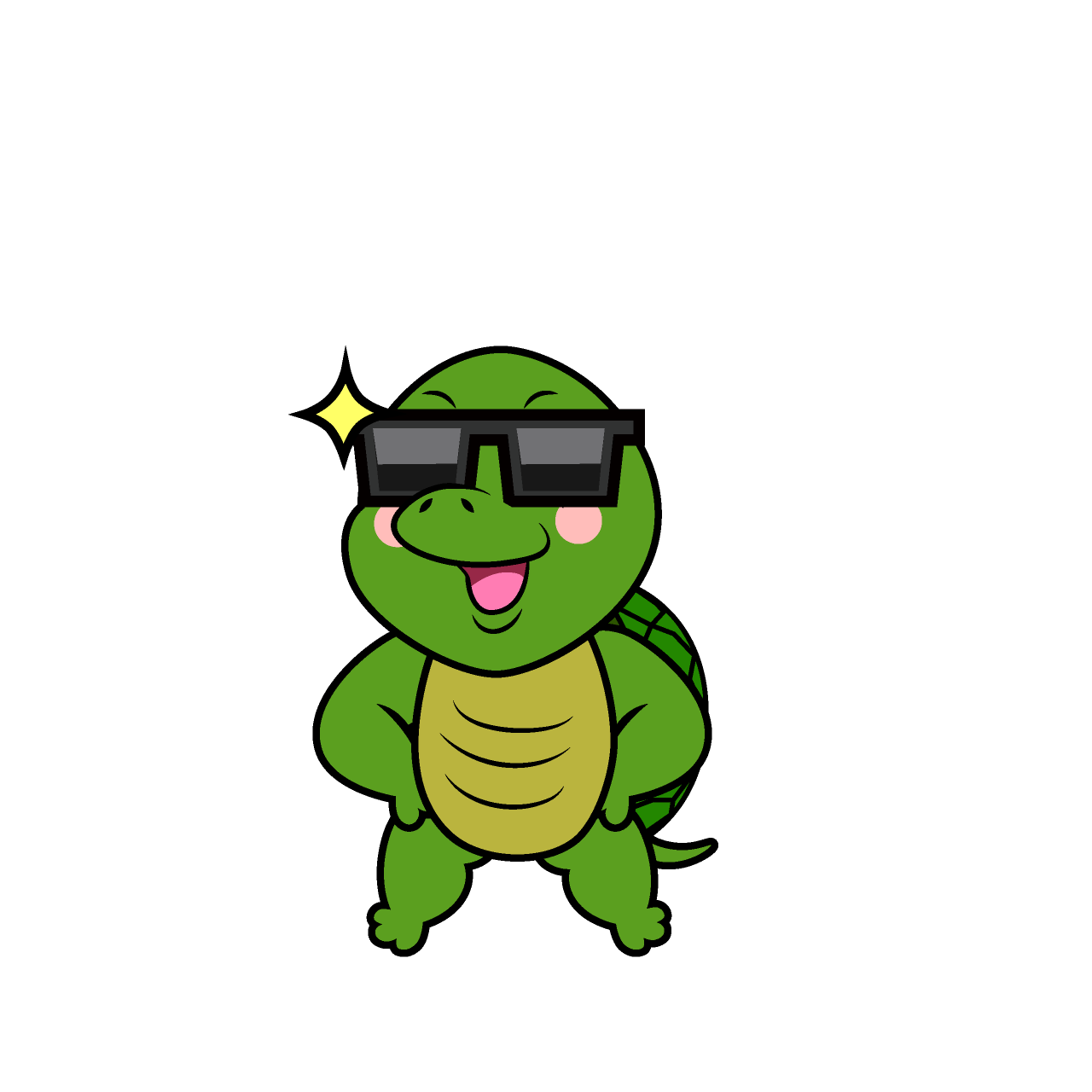 Cool Turtle