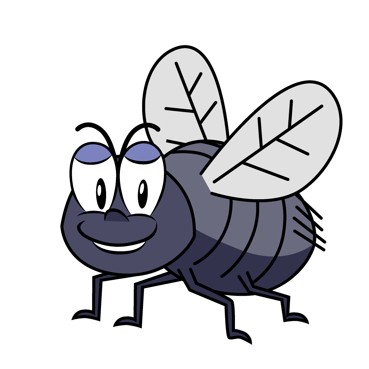 Fly