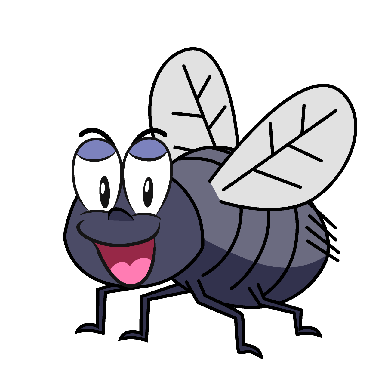 Smiling Fly