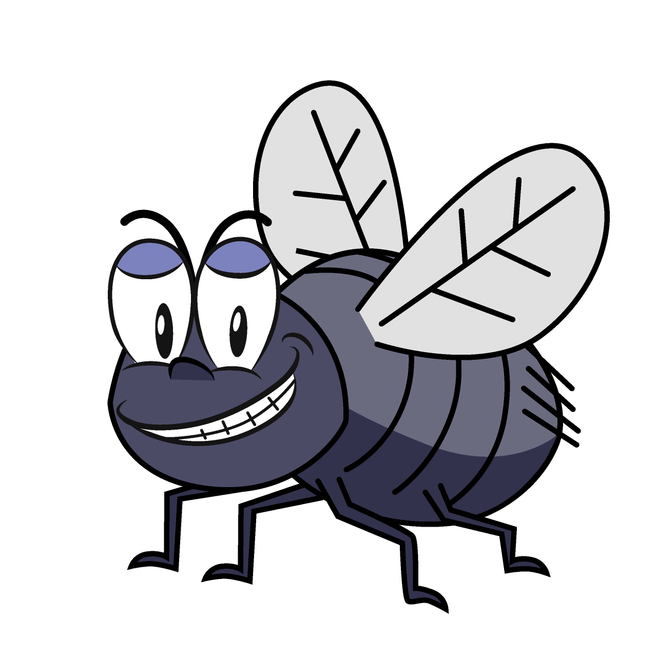 Grinning Fly
