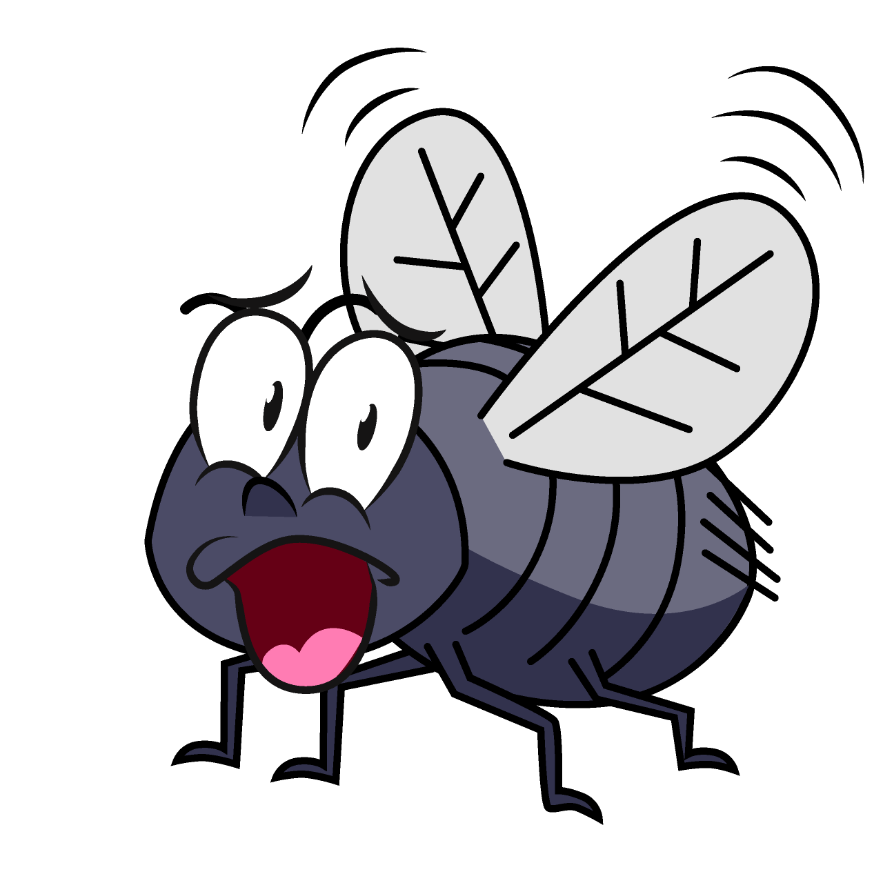 Surprising Fly