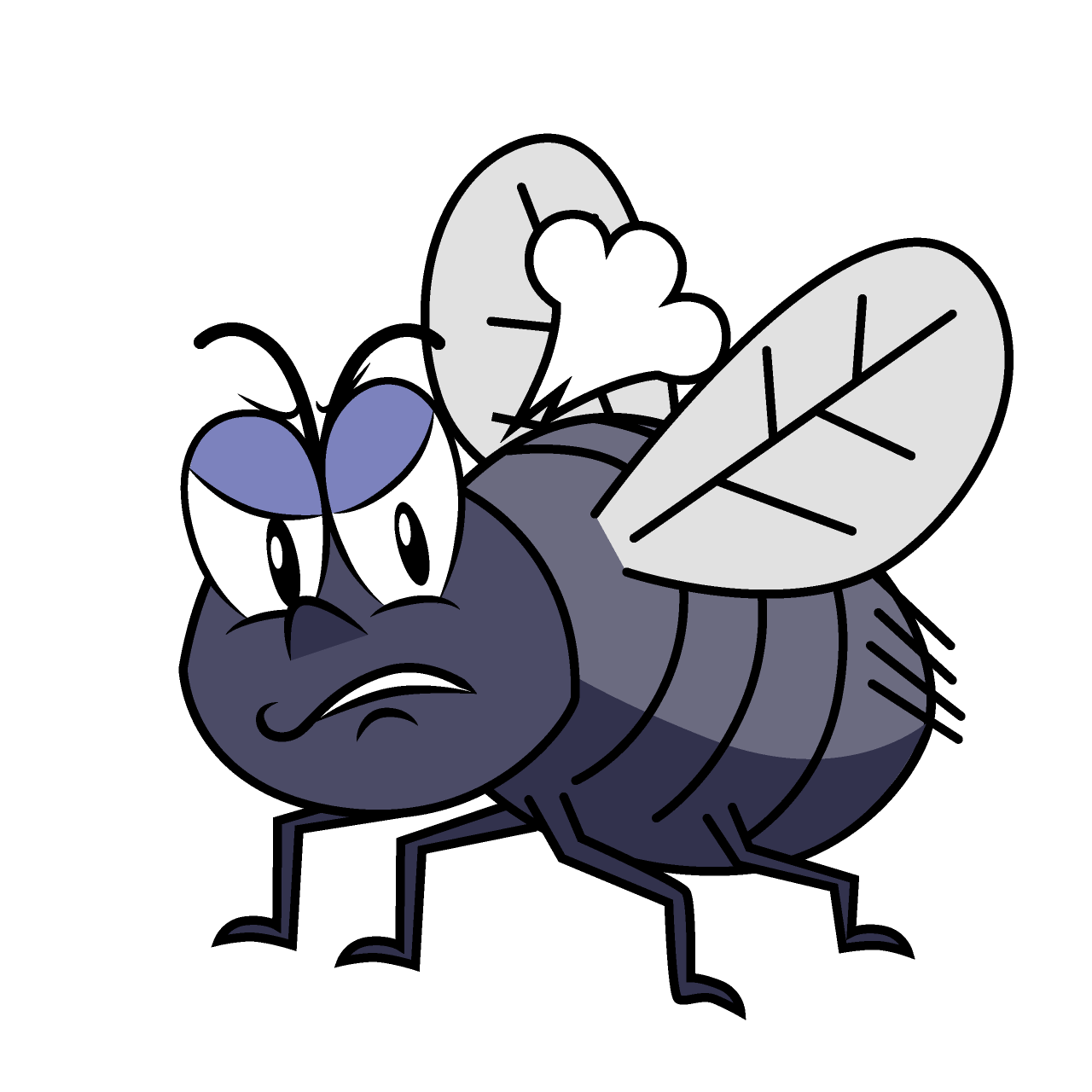 Angry Fly