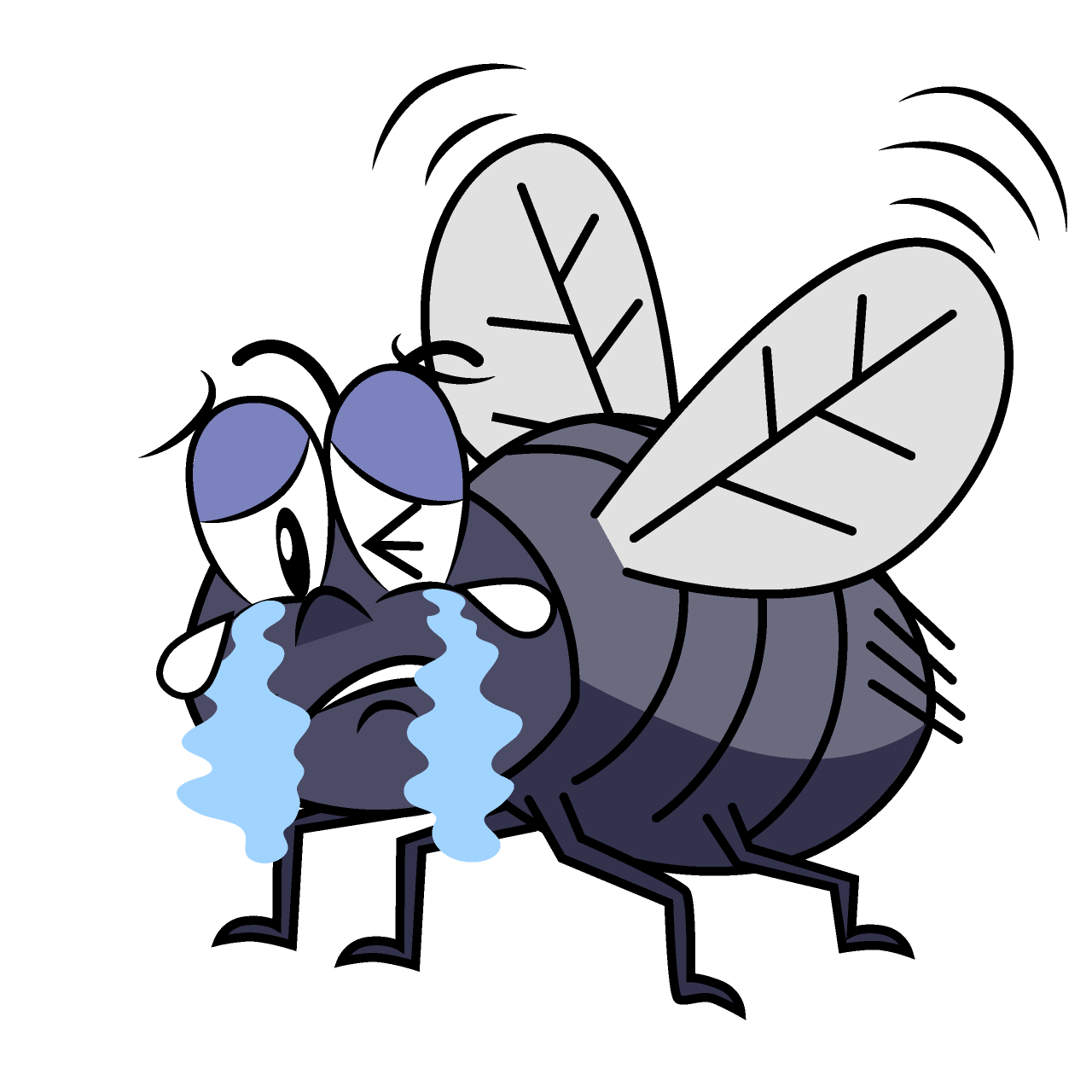 Crying Fly