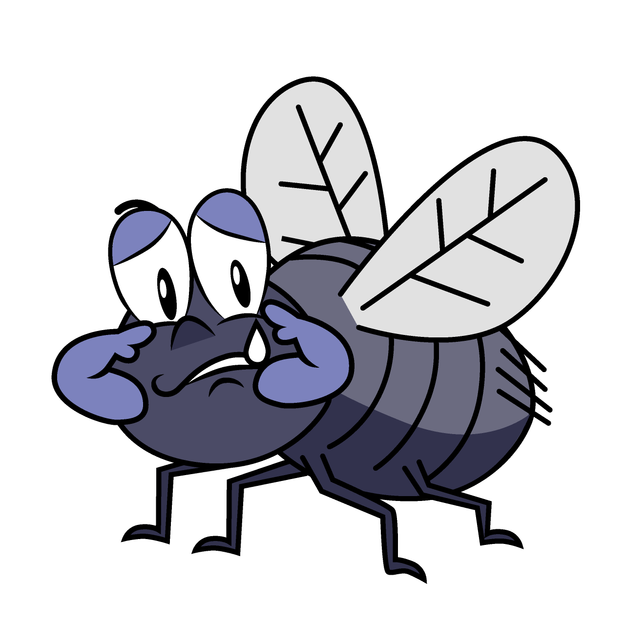 Sad Fly