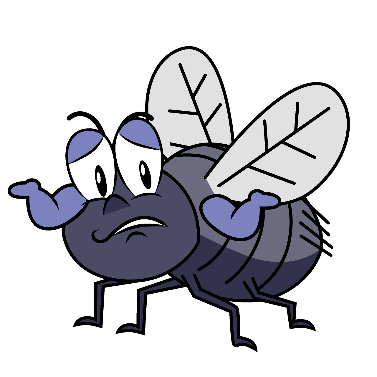 Troubled Fly