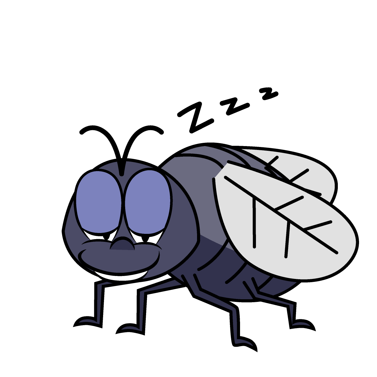 Sleeping Fly